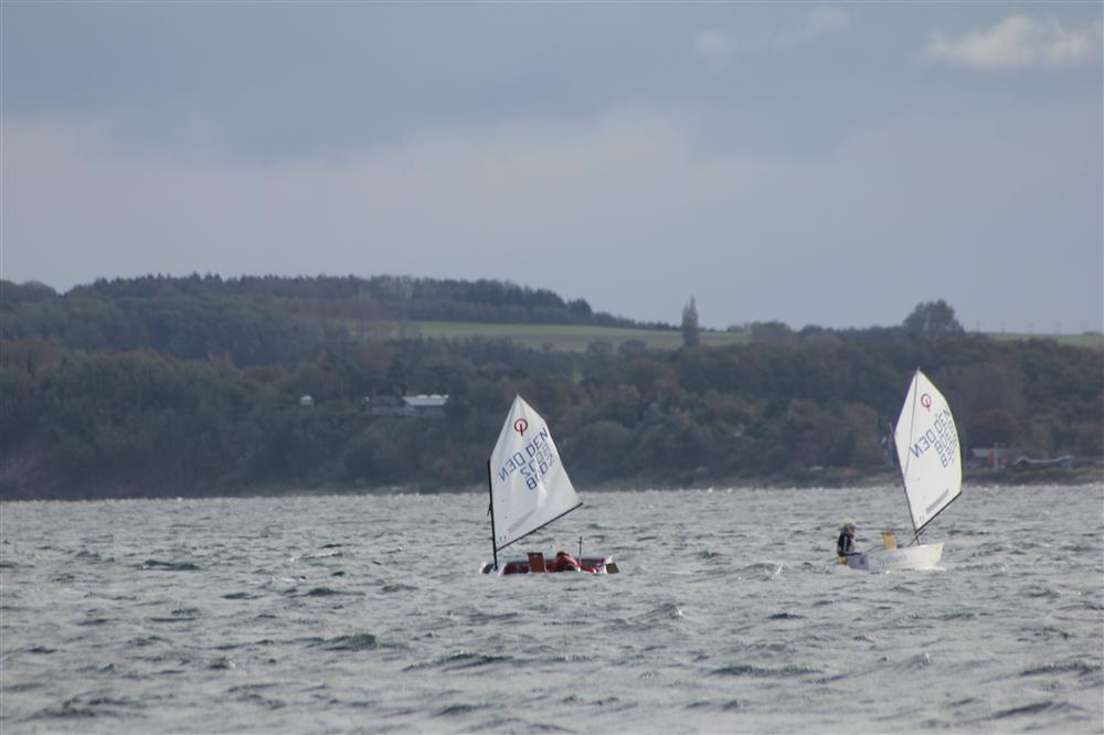 Vis 20111008 113859.jpg i fuld st�rrelse